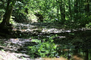 Our Visit To Watchung Reservation