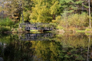 Our Visit To Leonard J Buck Garden