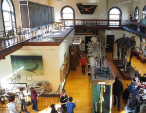 Our Visit To Rutgers Geology Museum