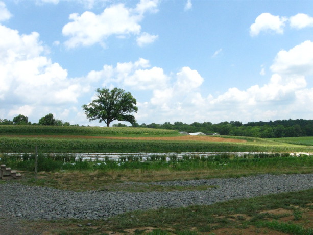 Our Visit To Alstede Farms Morris County Destinations