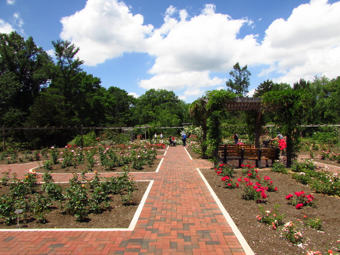 Our Visit To Colonial Park