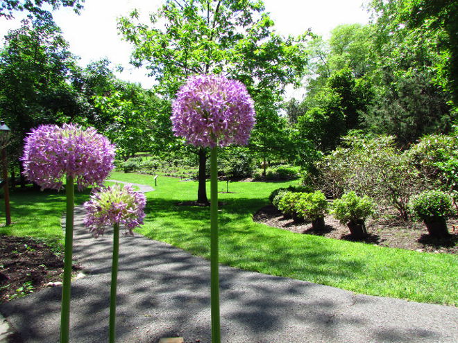 Our Visit To Reeves Reed Arboretum in Summit NJ