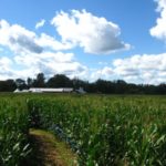 Our Visit To Stony Hill Farm Corn Maze Morris County Destinations