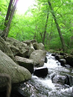 Our Visit To Hacklebarney State Park Strawberry Picking Warren County Destinations