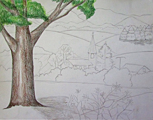 Nature Drawing Single Classes: Non-Members Tickets, Thu, Feb 1, 2024 at  10:00 AM | Eventbrite