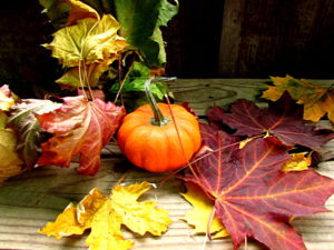 Crayon Resist Fall Leaves Art Lesson