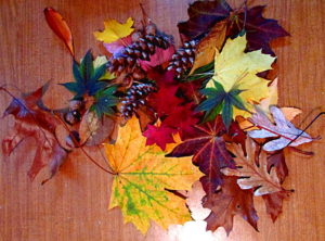 Crayon Resist Fall Leaves Art Lesson