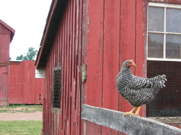 Our Visit To Howell Living History Farm Hunterdon County Destinations