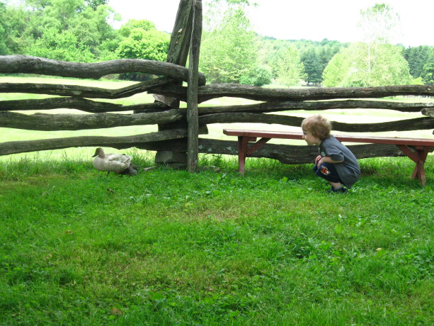 Our Visit To Howel Living History Farm Hunterdon County Destinations