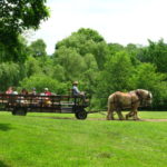 Our Visit To Howel Living History Farm Hunterdon County Destinations