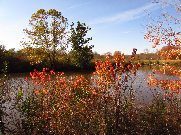 Our Visit To Environmental Education Center Somerset County Destinations