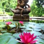 Our Visit To New Jersey Botanical Garden Passaic County Destinations