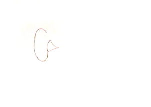 How To Draw Sunflowers - Happy Family Art