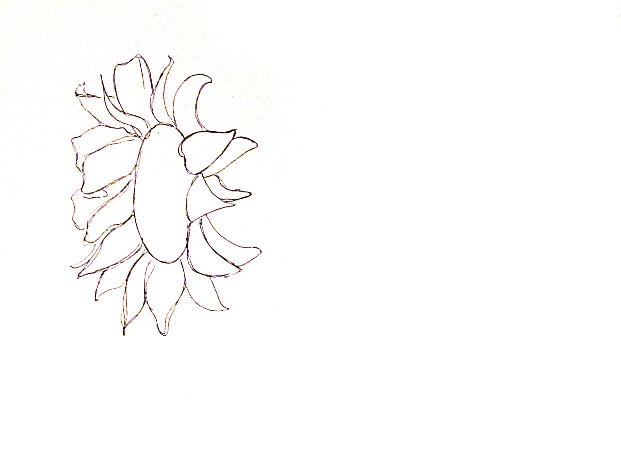 How To Draw Sunflowers Happy Family Art