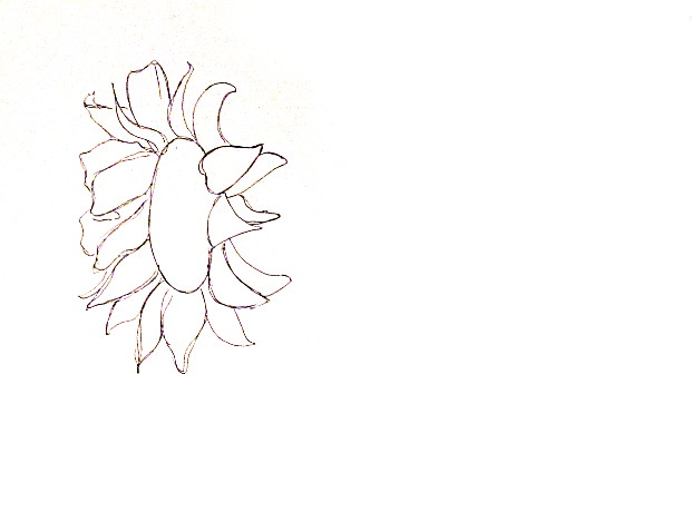 Featured image of post Sun Flower Drawing Easy For Kids - Drawing them can be fun &amp; easy, use these directions.