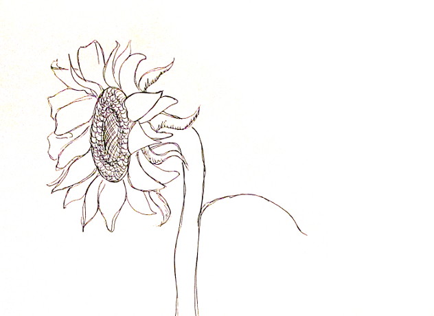 Aesthetic Sunflower Drawing Black And White