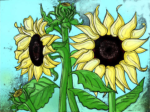 Featured image of post Color Of Sunflower Drawing : Choose your favorite sunflower drawings from millions of available designs.