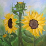 How To Draw Sunflowers