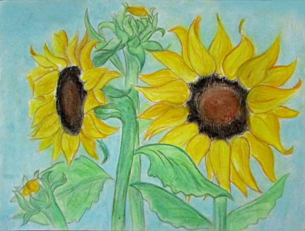 https://www.happyfamilyart.com/wp-content/uploads/2014/10/SunflowersPastels.jpg