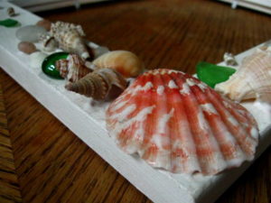 Seashell Picture Frame Tutorial