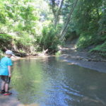 Our Visit To Big Brook Fossils in NJ Free Or Inexpensive Places For Family Fun In And Around New Jersey