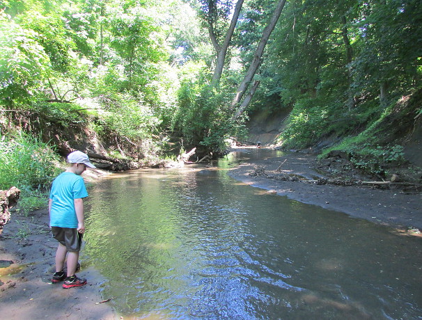 Our Visit To Big Brook Fossils in NJ