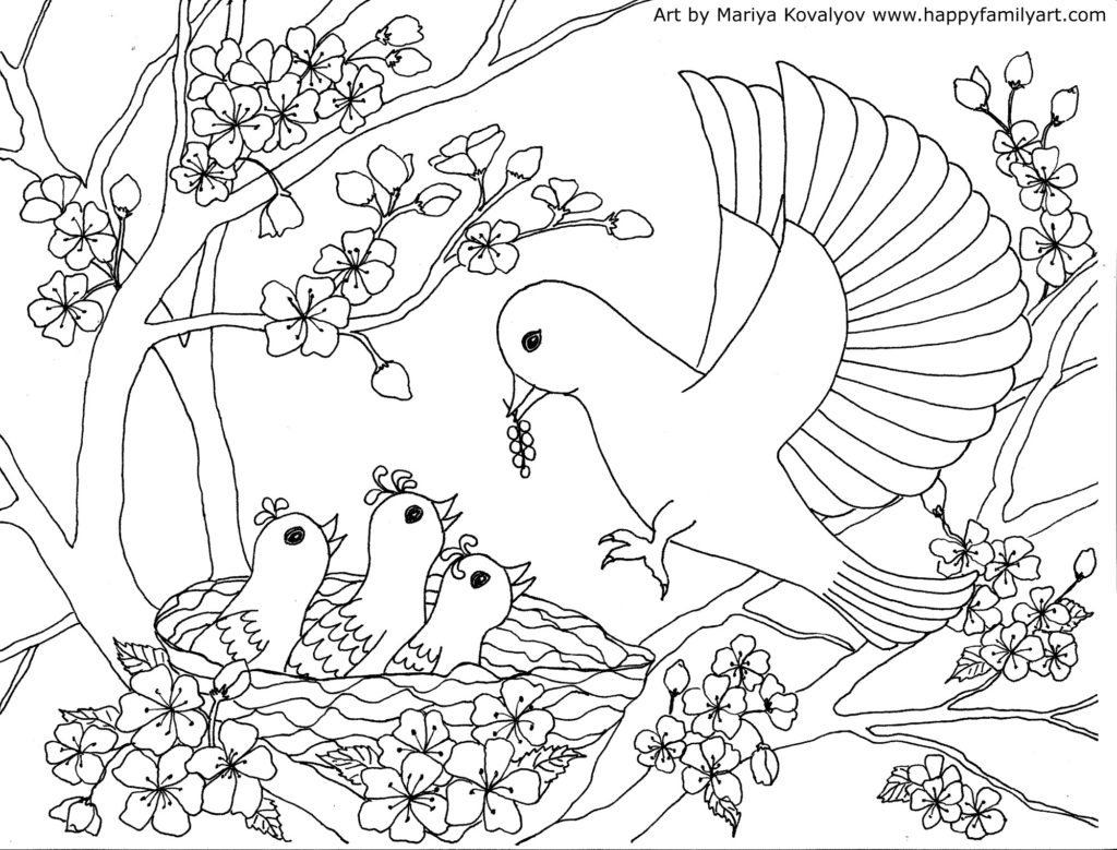 Mother Bird Baby Birds Coloring Page