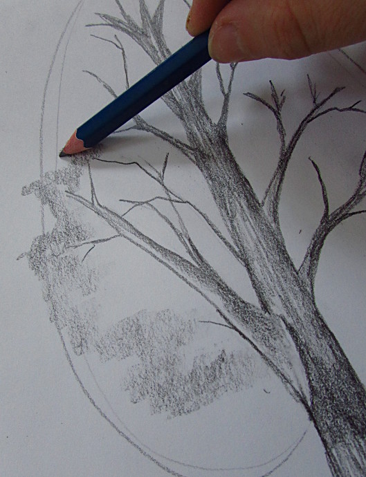 drawings of trees in pencil