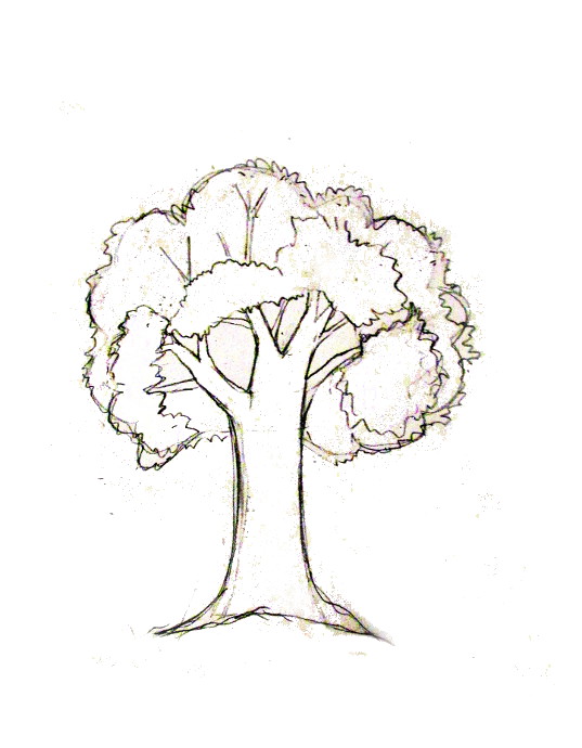 40 Easy Tree Drawing Ideas  How To Draw A Tree  Blitsy