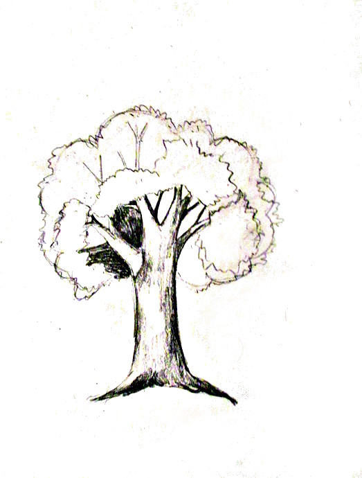 Featured image of post Nature Tree Drawing For Kids - Read our blog to find out more.