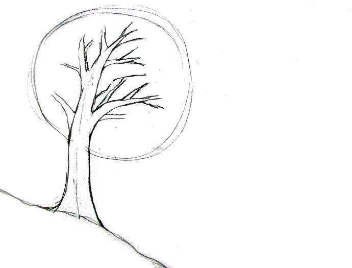 How To Draw A Tree Tutorial