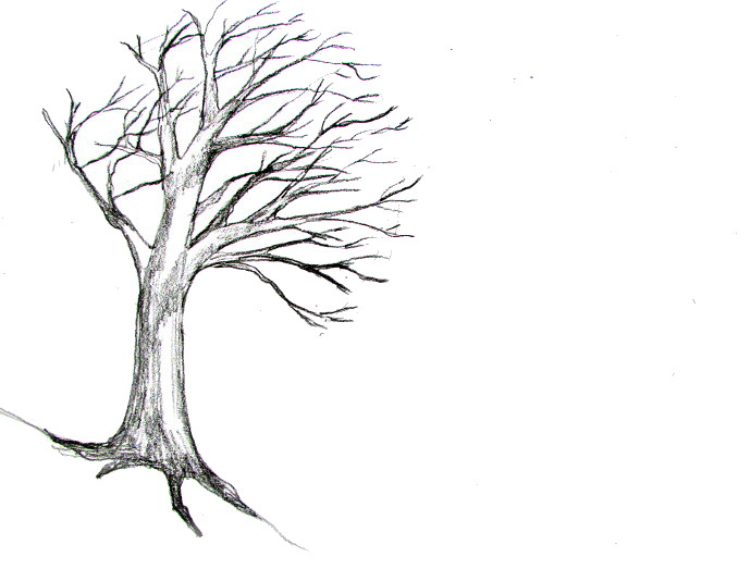 How To Draw A Tree Tutorial