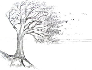 20+ Latest Drawing Easy Sketch Winter Drawing Easy Sketch Tree