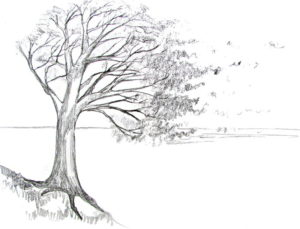 How To Draw A Tree Happy Family Art