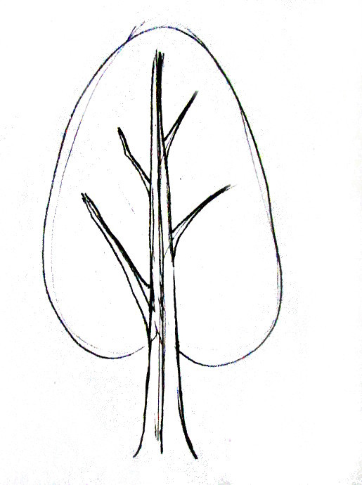 Tree Sketch Stock Photos and Images - 123RF-saigonsouth.com.vn