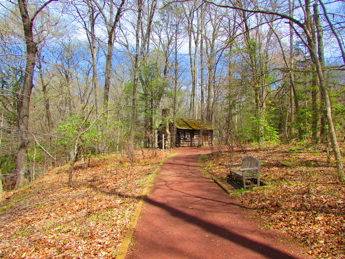 Our Visit To Bowman Hill Wildflower Preserve