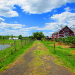 Our Visit To Terhune Orchards In Princeton Mercer County Destinations