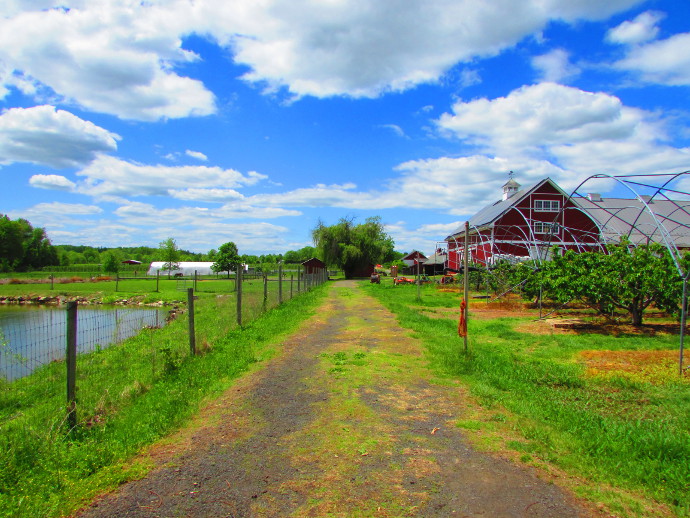 Our Visit To Terhune Orchards In Princeton Mercer County Destinations