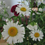 Painting Daisies Using Negative Watercolor Painting