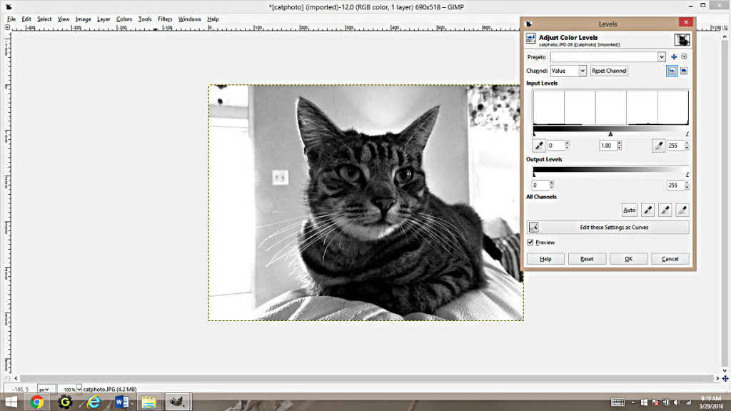mass watermark photos using gimp