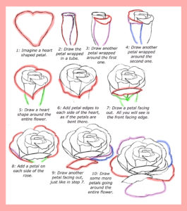 How to draw roses