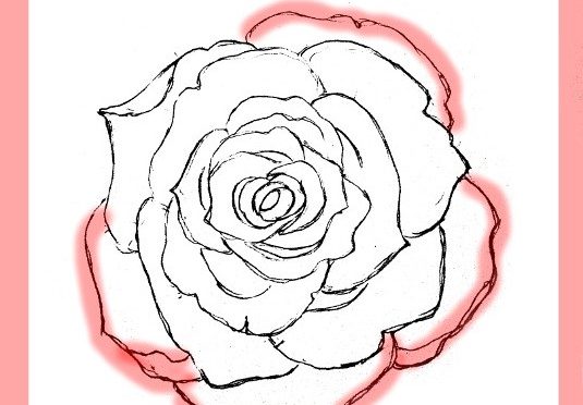 Rose flower drawing. 19859227 PNG-saigonsouth.com.vn
