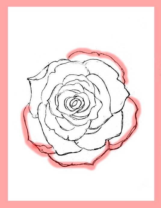 How to draw a rose with a pencil: step by step instructions