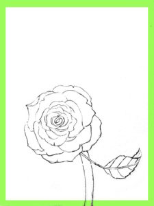 How To Draw Roses