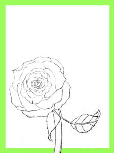 How To Draw Roses