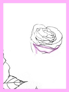 How To Draw Roses