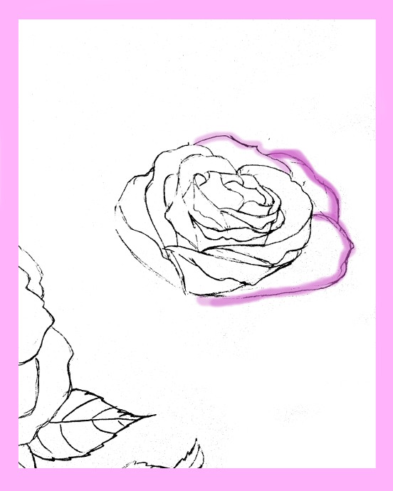 Featured image of post How To Draw A Rose On Your Hand - How to draw a rose.