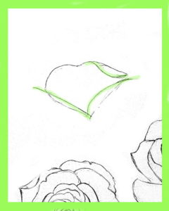 How To Draw Roses