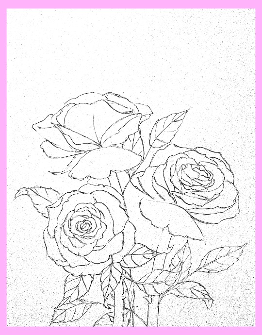 how to draw roses  happy family art