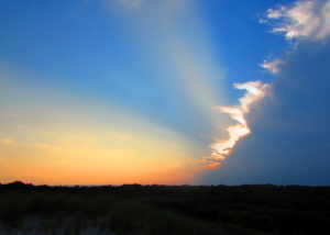 Our Visit To Island Beach State Park
